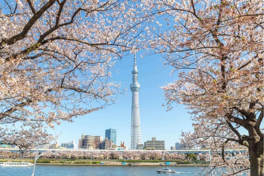 Skytree Cat House Apartment